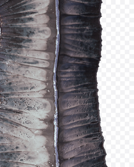 Letter M from Metal terrain Alphabet on Yellow Images Creative Fonts - S48642