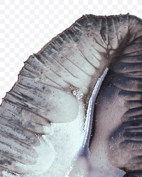 4 from Metal terrain Alphabet on Yellow Images Creative Fonts - S48660