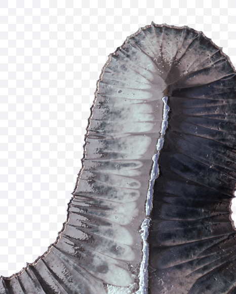 # from Metal terrain Alphabet on Yellow Images Creative Fonts - S48677