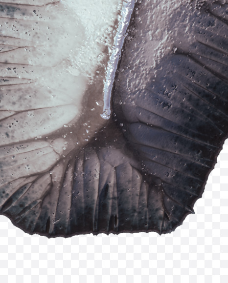 Letter W from Metal terrain Alphabet on Yellow Images Creative Fonts - S48652