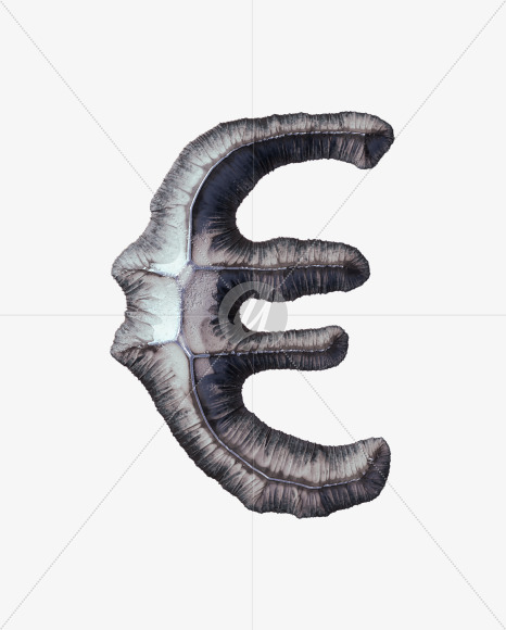 euro