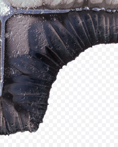 yen from Metal terrain Alphabet on Yellow Images Creative Fonts - S48667