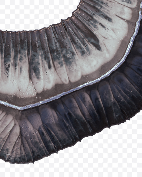 6 from Metal terrain Alphabet on Yellow Images Creative Fonts - S48662