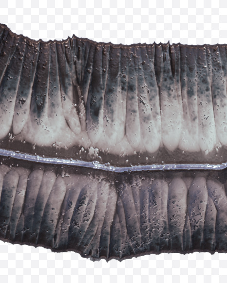 2 from Metal terrain Alphabet on Yellow Images Creative Fonts - S48658