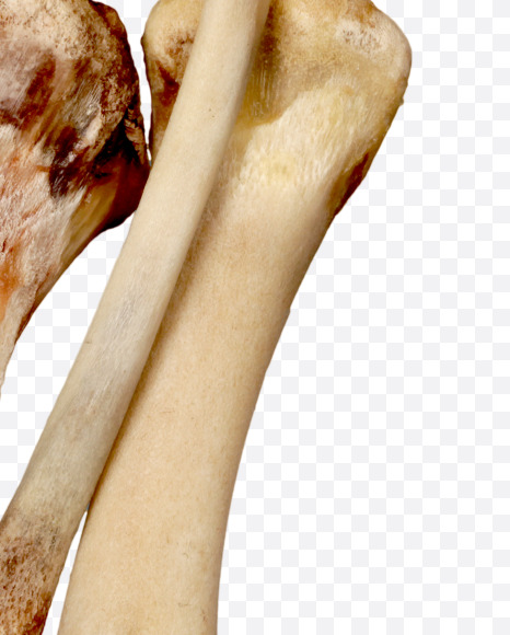 7 from Hungry bone alphabet on Yellow Images Creative Fonts - S49341