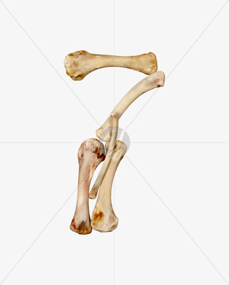 7 from Hungry bone alphabet on Yellow Images Creative Fonts - S49341