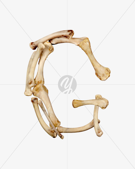 Letter g from Hungry bone alphabet on Yellow Images Creative Fonts - S49315