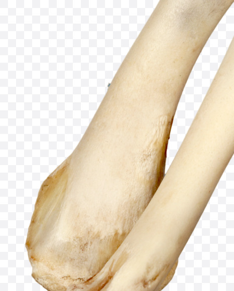 8 from Hungry bone alphabet on Yellow Images Creative Fonts - S49342