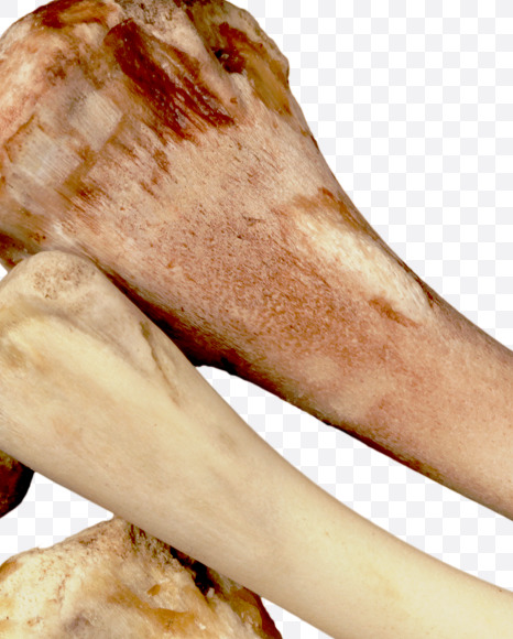 Letter u from Hungry bone alphabet on Yellow Images Creative Fonts - S49329