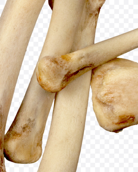 Letter a from Hungry bone alphabet on Yellow Images Creative Fonts - S49309