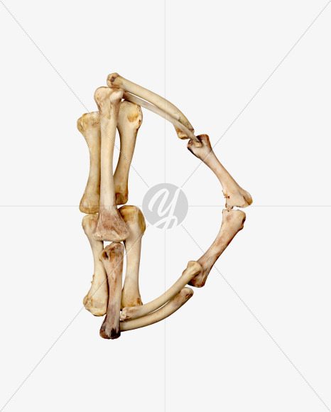 Letter d from Hungry bone alphabet on Yellow Images Creative Fonts - S49312