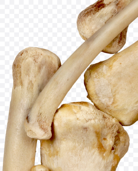 @ from Hungry bone alphabet on Yellow Images Creative Fonts - S49349