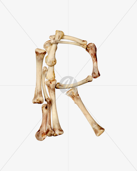 Letter r from Hungry bone alphabet on Yellow Images Creative Fonts - S49326