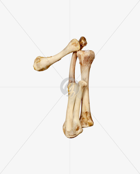 1 from Hungry bone alphabet on Yellow Images Creative Fonts - S49335