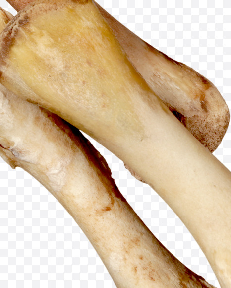 sumbols from Hungry bone alphabet on Yellow Images Creative Fonts - S49350