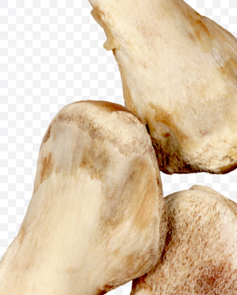 2 from Hungry bone alphabet on Yellow Images Creative Fonts - S49336