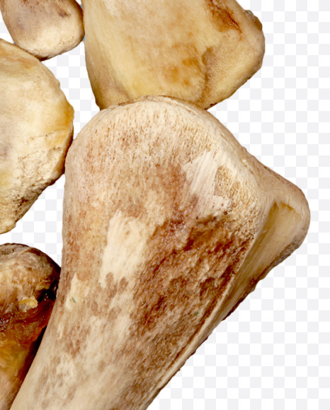 9 from Hungry bone alphabet on Yellow Images Creative Fonts - S49343