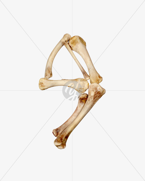 9 from Hungry bone alphabet on Yellow Images Creative Fonts - S49343