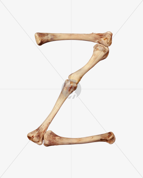 Letter z from Chicken bone alphabet on Yellow Images Creative Fonts - S49379