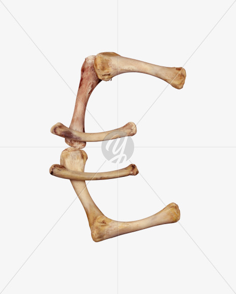 euro from Chicken bone alphabet on Yellow Images Creative Fonts - S49395