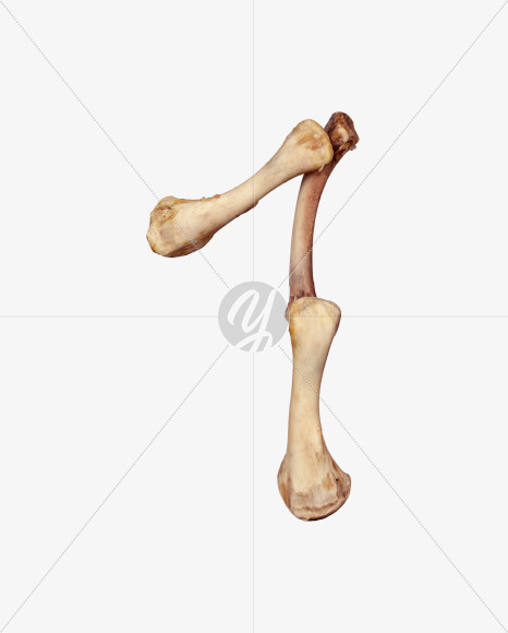 1 from Chicken bone alphabet on Yellow Images Creative Fonts - S49380