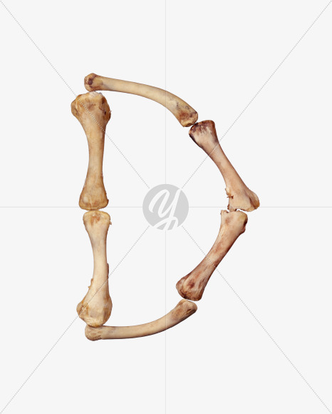 Letter d from Chicken bone alphabet on Yellow Images Creative Fonts - S49357