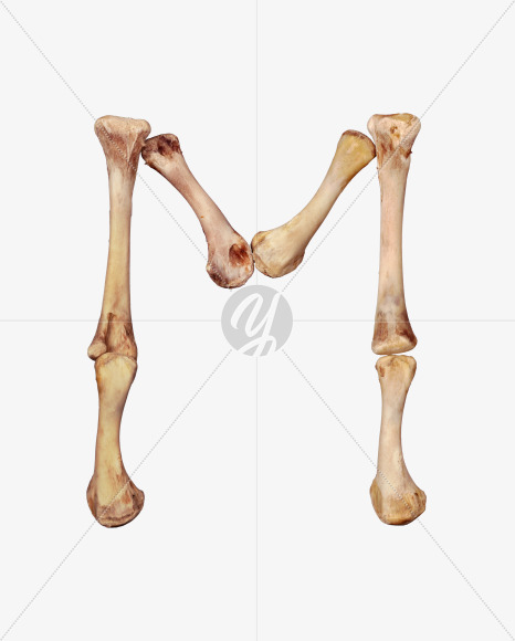 Letter m from Chicken bone alphabet on Yellow Images Creative Fonts - S49366