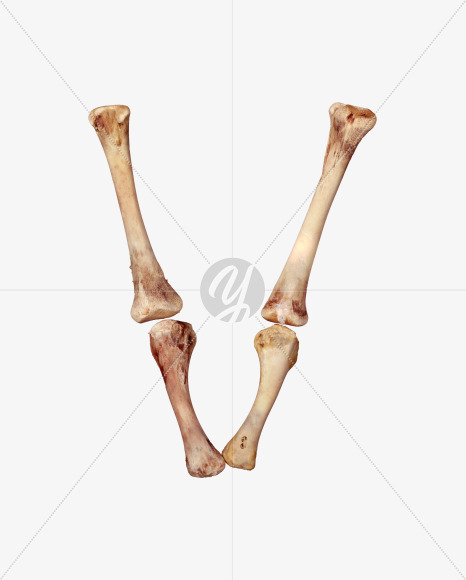 v