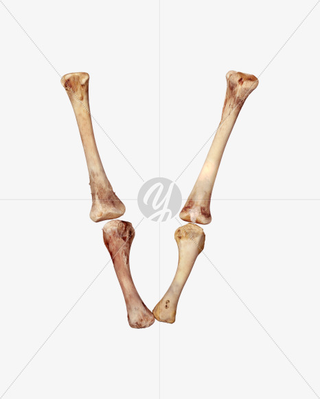 Letter v from Chicken bone alphabet on Yellow Images Creative Fonts - S49375