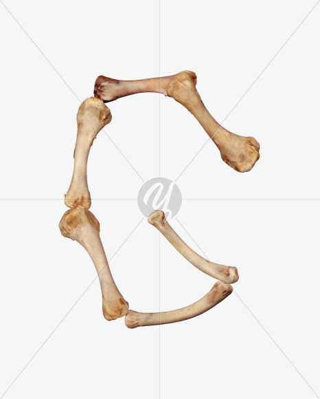 Letter g from Chicken bone alphabet on Yellow Images Creative Fonts - S49360