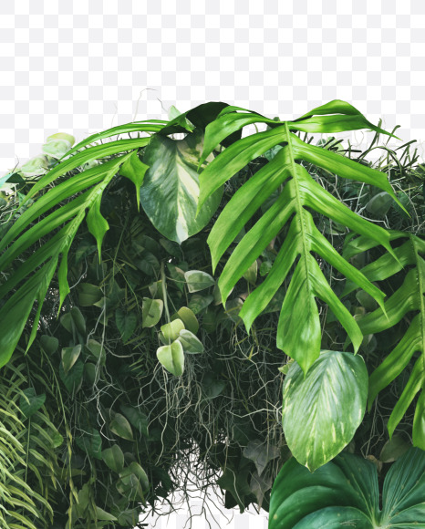 2 from Vertical Garden Font on Yellow Images Creative Fonts - S49465