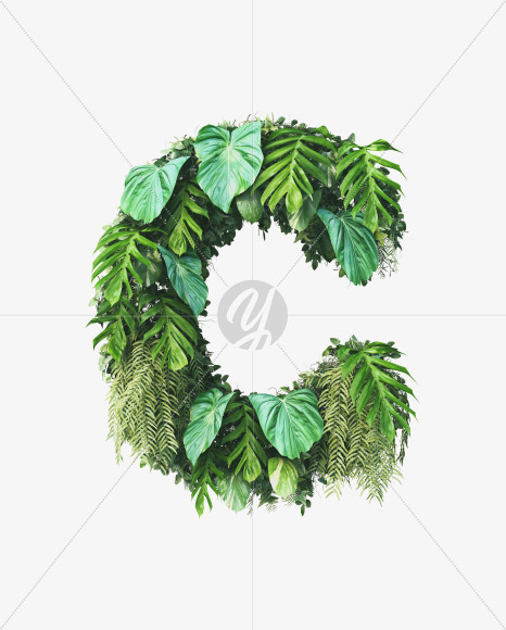 c lowercase from Vertical Garden Font on Yellow Images Creative Fonts - S49439