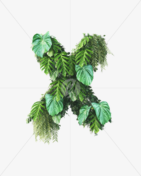 x lowercase from Vertical Garden Font on Yellow Images Creative Fonts - S49460