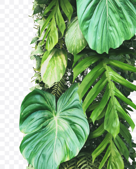 r lowercase from Vertical Garden Font on Yellow Images Creative Fonts - S49454