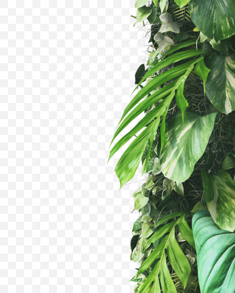 I uppercase from Vertical Garden Font on Yellow Images Creative Fonts - S49481