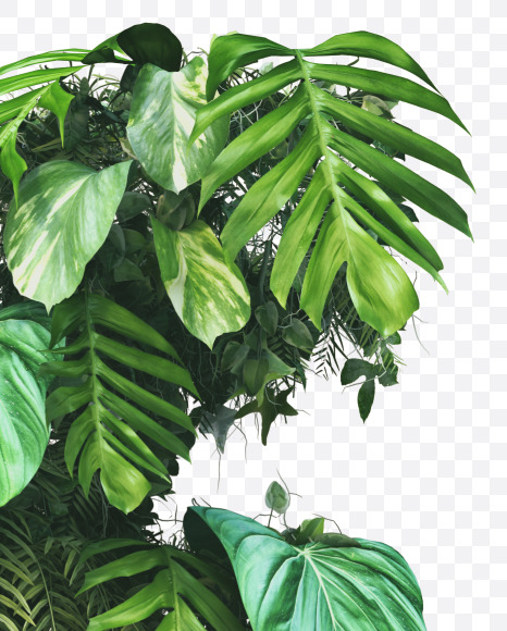 f lowercase from Vertical Garden Font on Yellow Images Creative Fonts - S49442