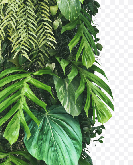 U uppercase from Vertical Garden Font on Yellow Images Creative Fonts - S49493