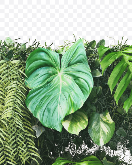 5 from Vertical Garden Font on Yellow Images Creative Fonts - S49468