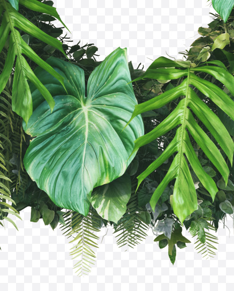 b lowercase from Vertical Garden Font on Yellow Images Creative Fonts - S49438