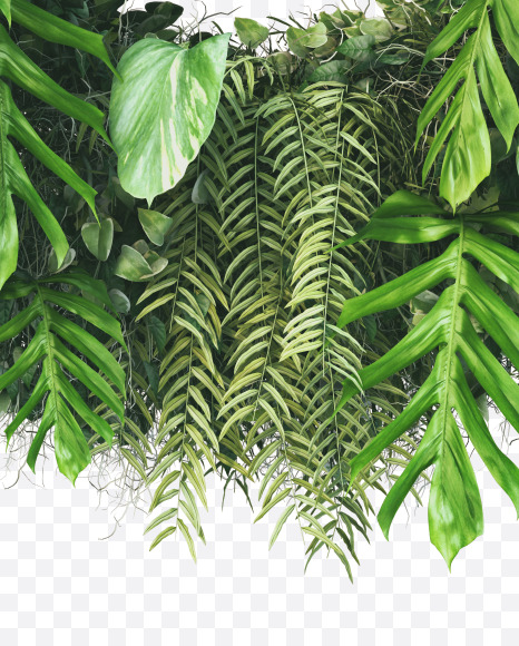 O uppercase from Vertical Garden Font on Yellow Images Creative Fonts - S49487