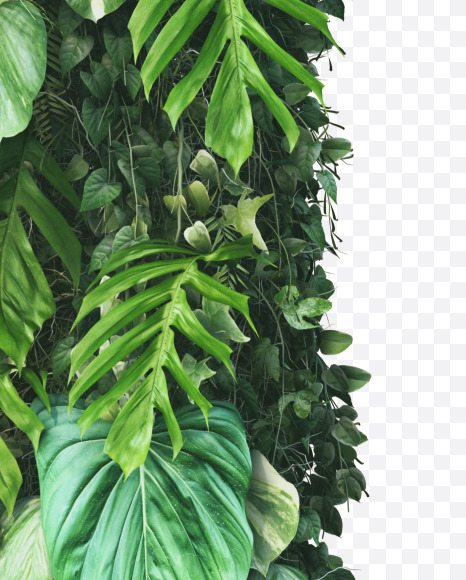 1 from Vertical Garden Font on Yellow Images Creative Fonts - S49464