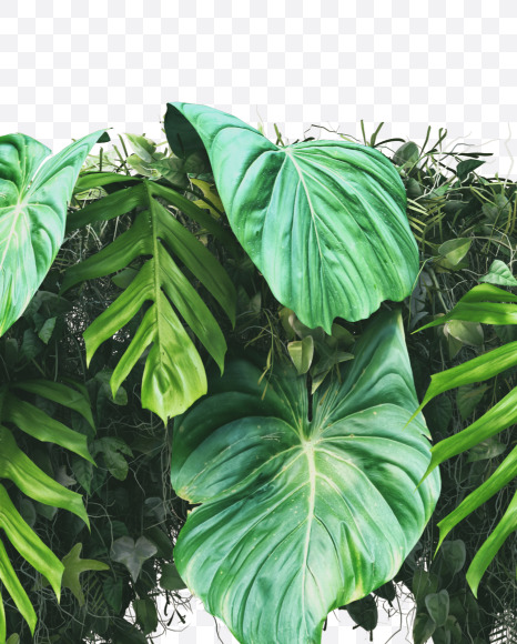 G uppercase from Vertical Garden Font on Yellow Images Creative Fonts - S49479