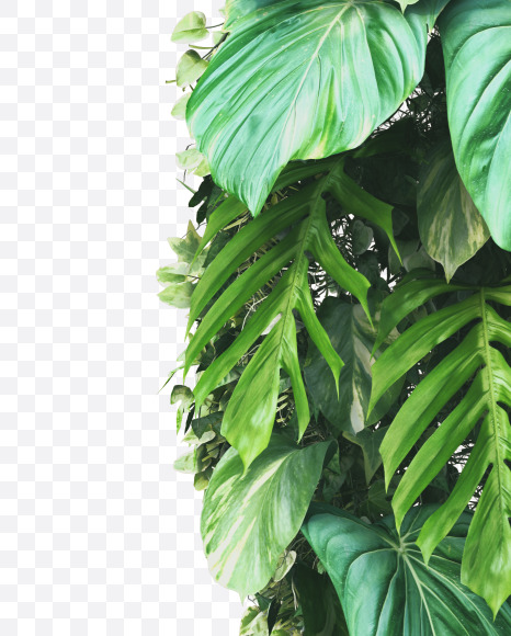 e lowercase from Vertical Garden Font on Yellow Images Creative Fonts - S49441