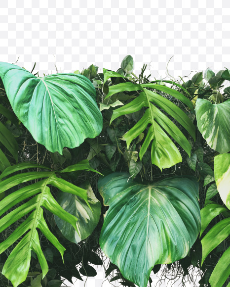 P uppercase from Vertical Garden Font on Yellow Images Creative Fonts - S49488