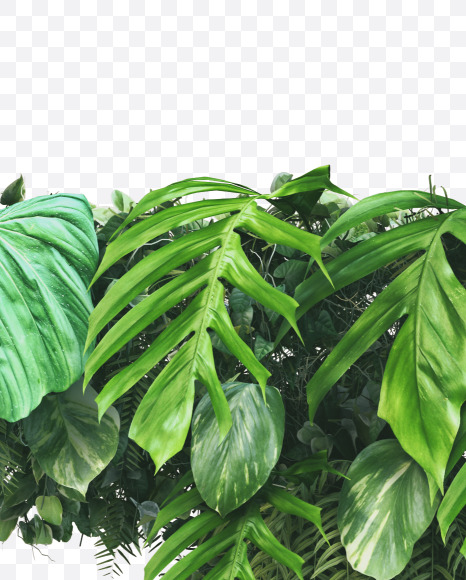 z lowercase from Vertical Garden Font on Yellow Images Creative Fonts - S49462