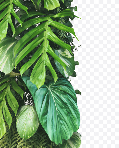 n lowercase from Vertical Garden Font on Yellow Images Creative Fonts - S49450