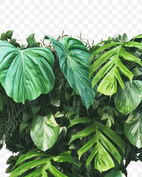 T uppercase from Vertical Garden Font on Yellow Images Creative Fonts - S49492