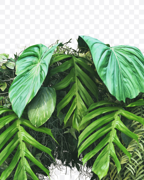 3 from Vertical Garden Font on Yellow Images Creative Fonts - S49466