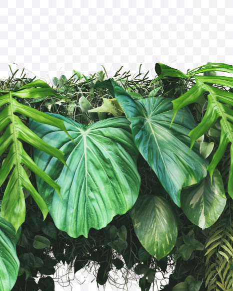 B uppercase from Vertical Garden Font on Yellow Images Creative Fonts - S49474