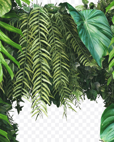 H uppercase from Vertical Garden Font on Yellow Images Creative Fonts - S49480